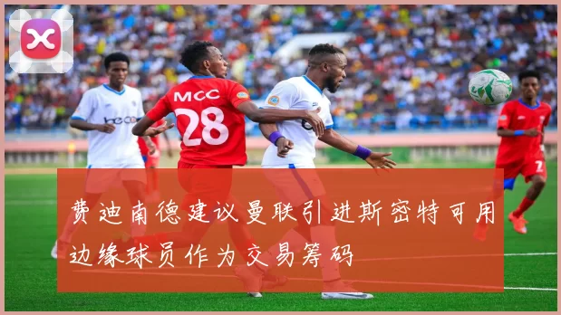 费迪南德建议曼联引进斯密特可用边缘球员作为交易筹码
