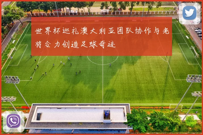 世界杯巡礼澳大利亚团队协作与老将合力创造足球奇迹