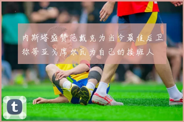 内斯塔盛赞范戴克为当今最佳后卫称蒂亚戈席尔瓦为自己的接班人